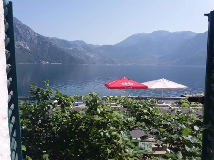 Dabovic Apartment