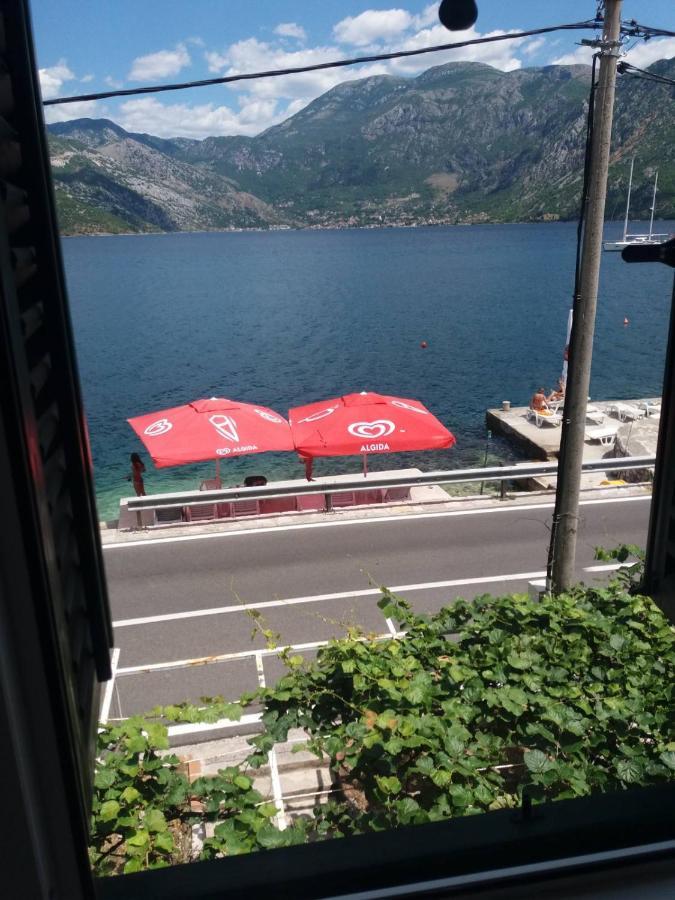 Dabovic Apartment