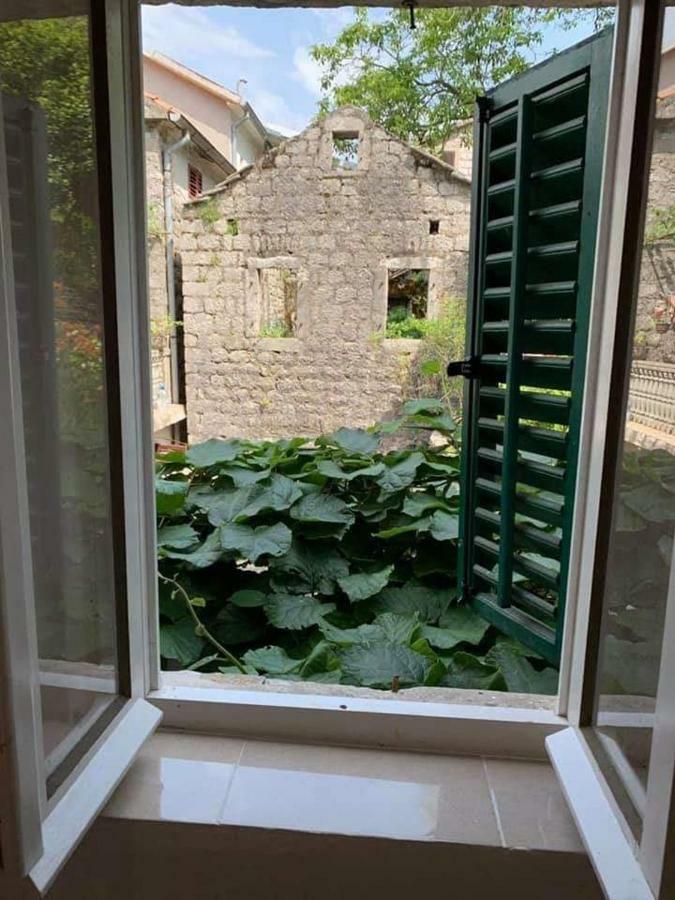 Apartment Dabovic *